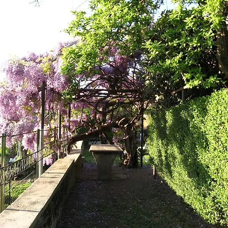 Casa Gibiseo * בלאנו