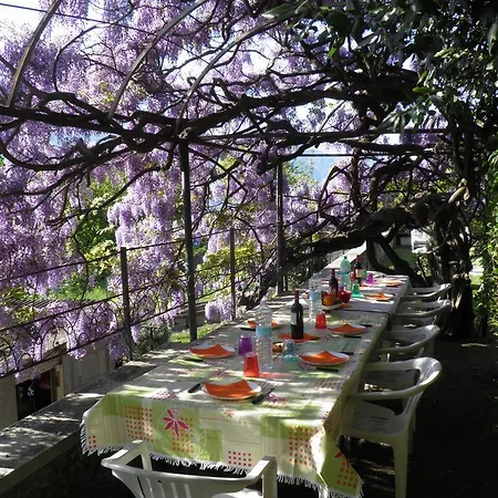 Casa Gibiseo 公寓 贝拉诺