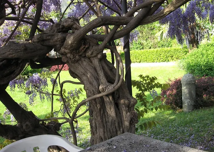 아파트 Casa Gibiseo *